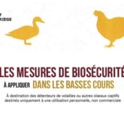 Mesures Bio Securite Basse Cours