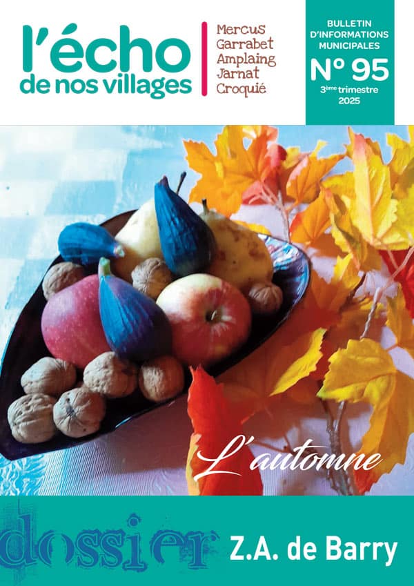 L'écho de nos villages - N°95