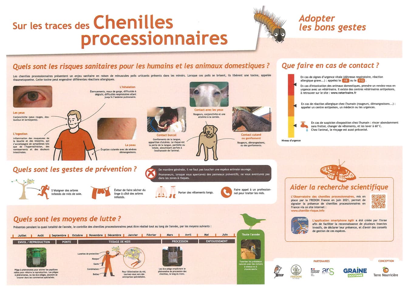 Chenilles processionnaires
